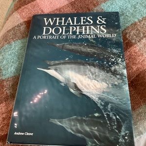 Whales and Dolphins:  a Portrait of the Animal World